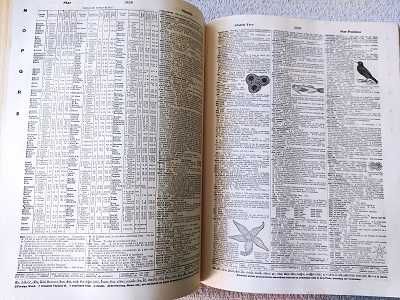Encyklopedia Webster's Third New International Dictionary 1 - 2
