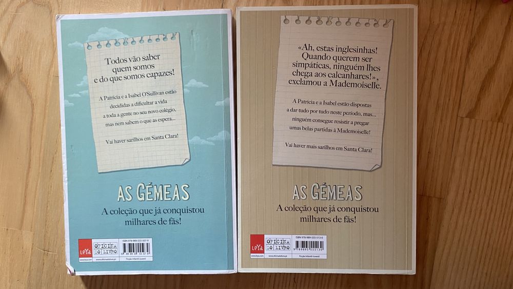 2 livros da coleção as gêmeas