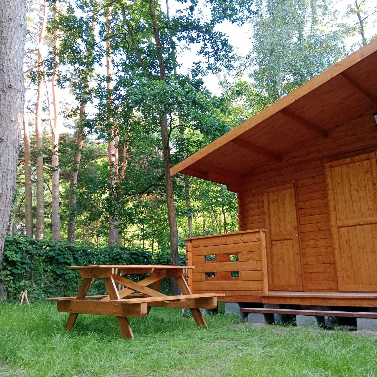 Domek Boszkowo Letnisko do wynajęcia / nocleg