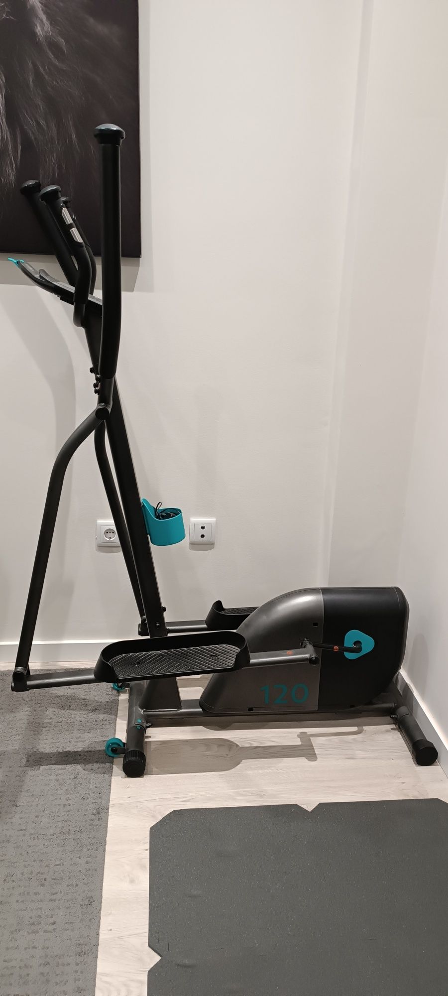 Bicicleta elitica