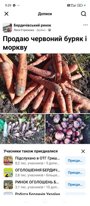 Продам моркву та красний буряк