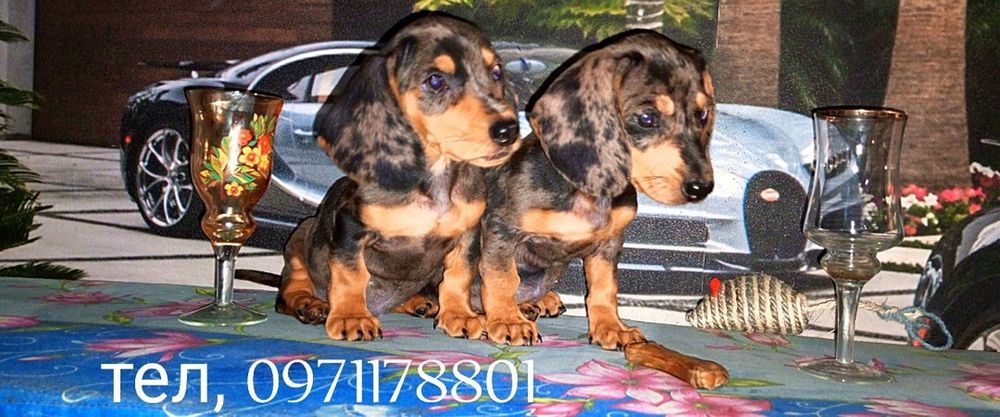 Мраморна дівчинка, та хлопчики мраморні