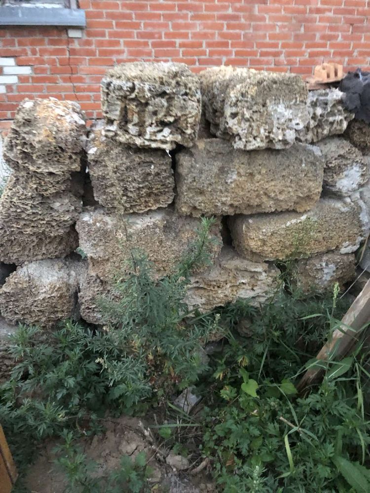 Продам ракушняк по низькій ціні