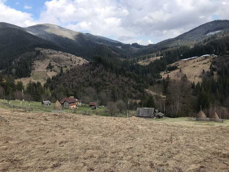 Продається земельна ділянка в селі Волова (від власника)