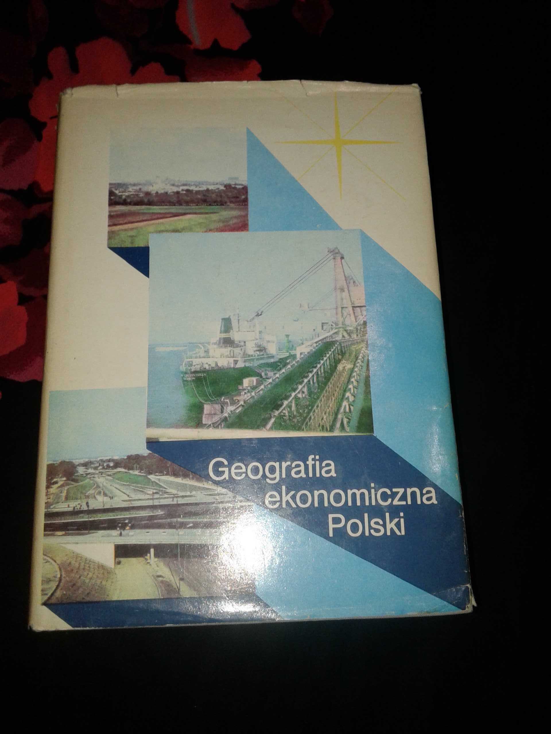 Geografia ekonomiczna Polski - Stanisław Berezowski