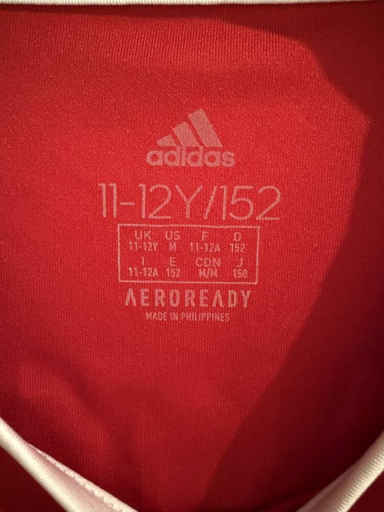 Strój piłkarski dres ortalion Akademia Mlodego Pilkarza Adidas & Errea