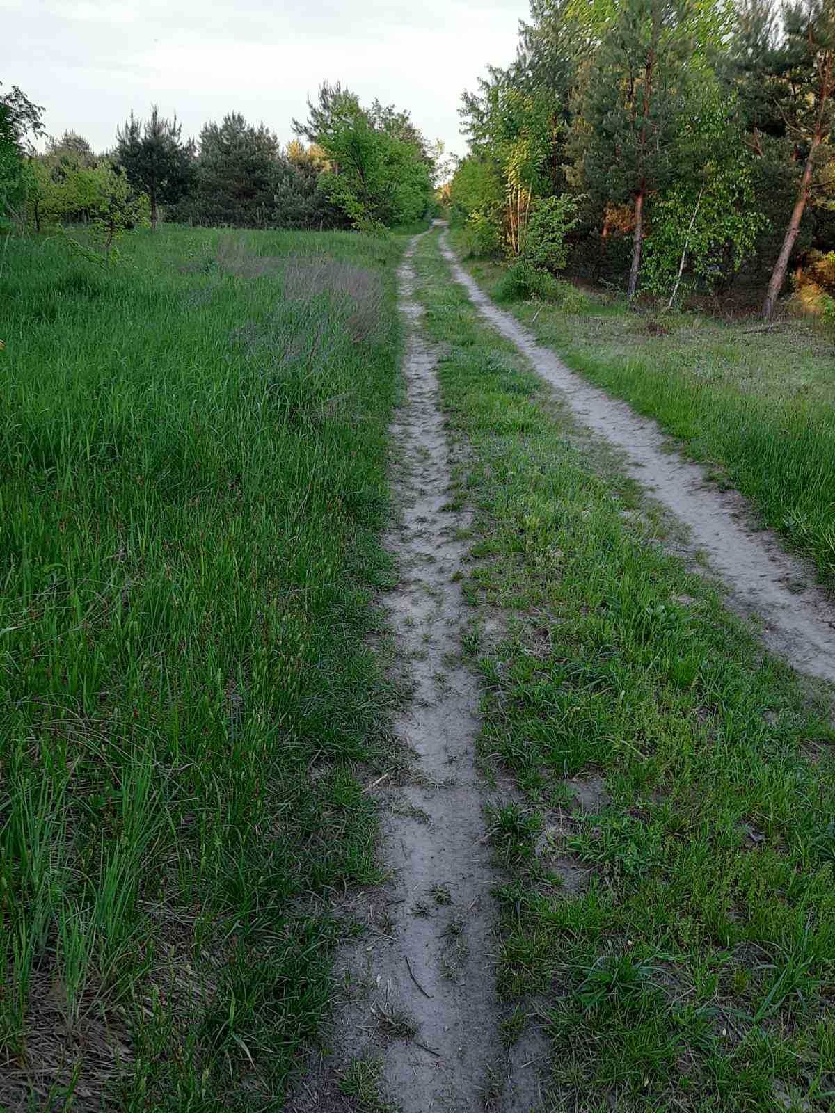 Продаж будинку у с.Крута Долина (40 м.кв.), БЕЗ КОМІСІЇ (25 сотиків)