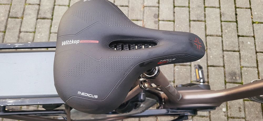 Rower elektryczny Gazelle Orange 8