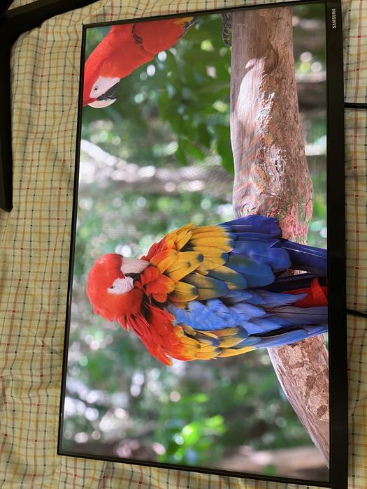 Монитор Samsung 24”