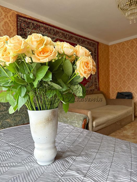 Продам 3-кімн. на Троещині БЕЗ КОМІСІЇ