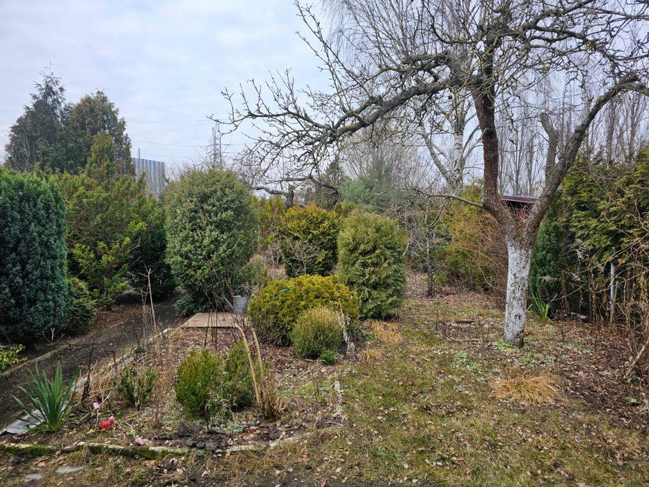 ROD „Jedność” – 300 m², ul. Sułkowskiego 1, Bydgoszcz