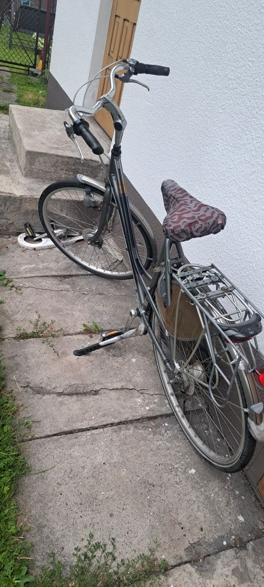 Rower Gazelle Davos