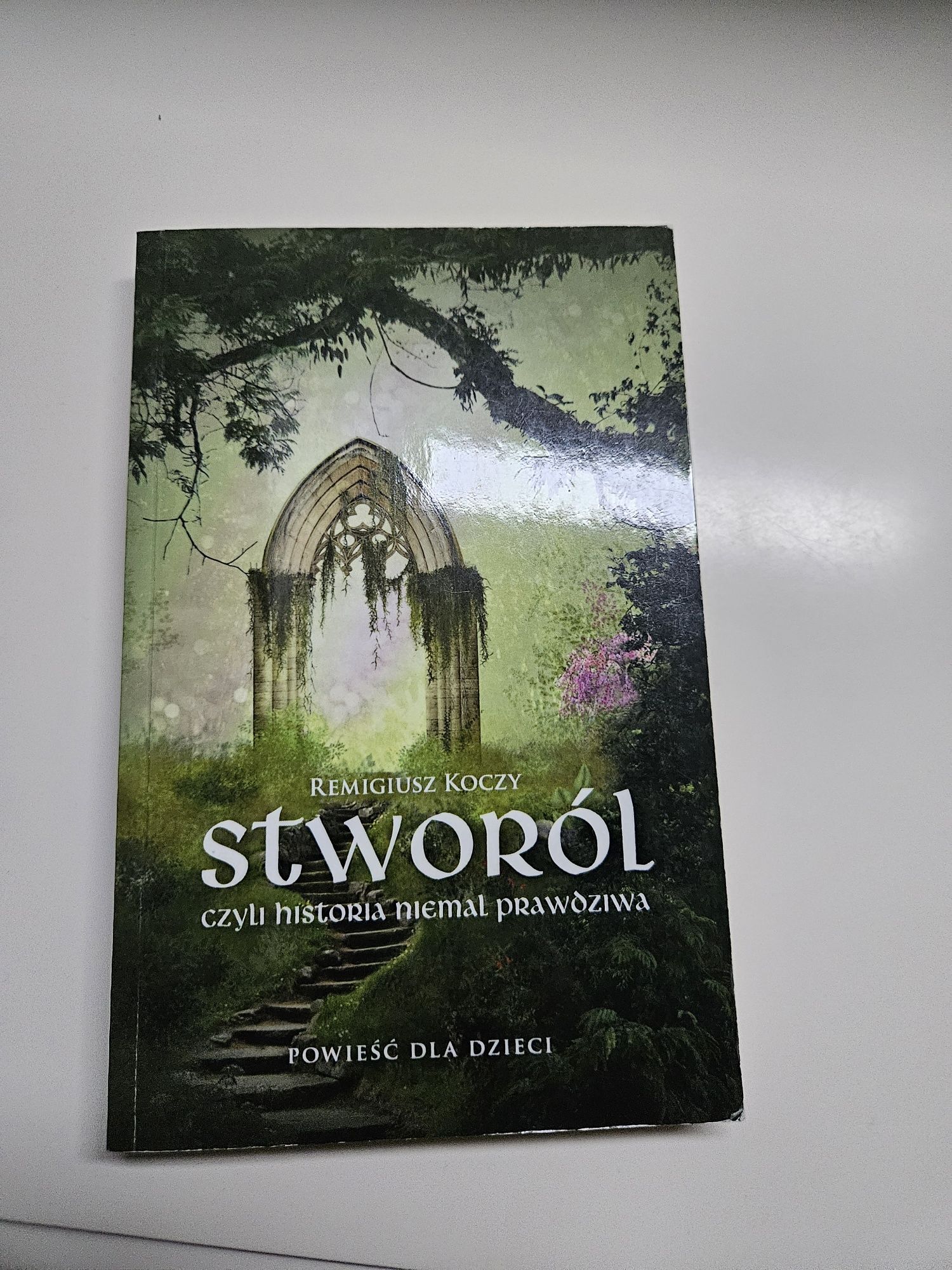 Książka Stworól historia niemal prawdziwa - Remigiusz Koczy