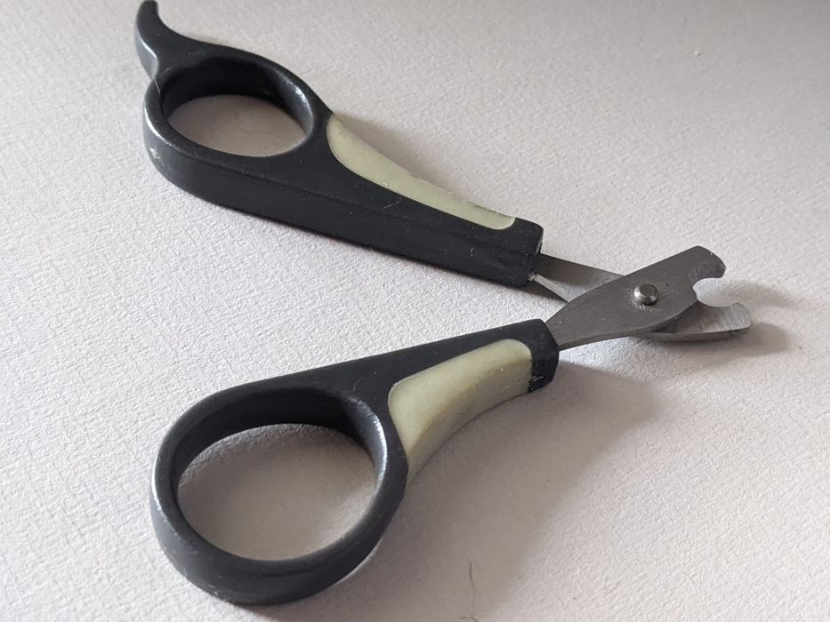 Поводок і ножиці для котиків