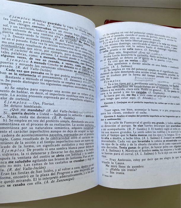 Практическая грамматика испанского языка /Современный испанский язык