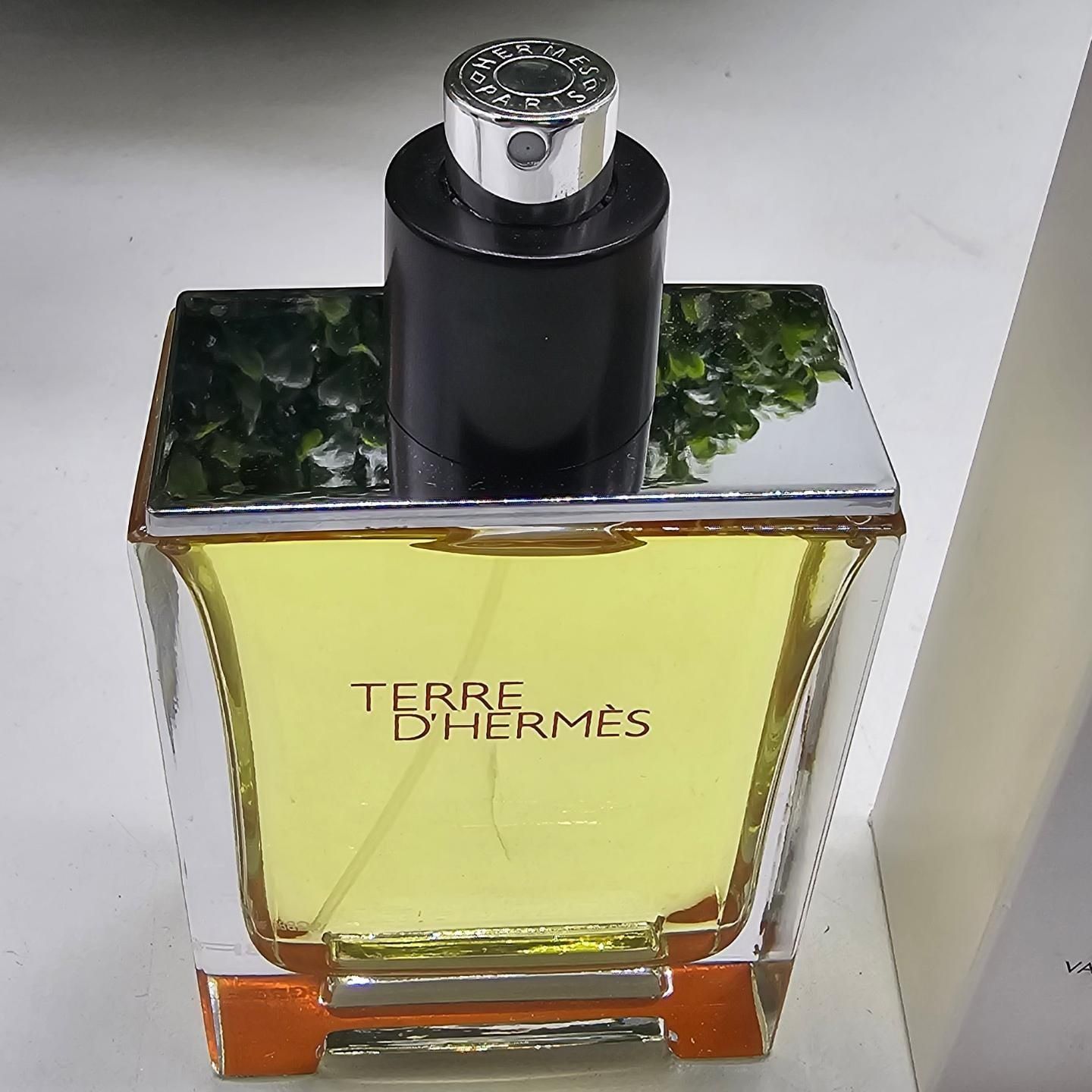 Туалетна вода для чоловіків Hermes Terre dHermes 100 ml