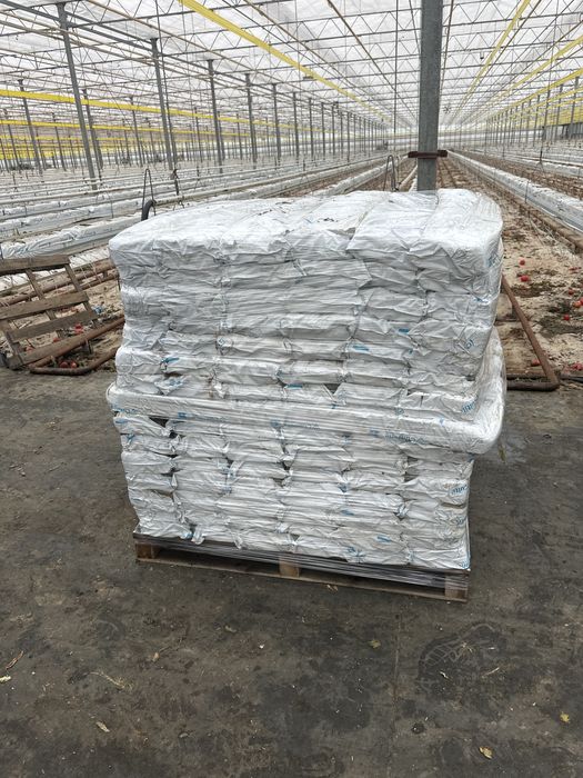 Oddam maty po  1 SEZONIE POMIDORA