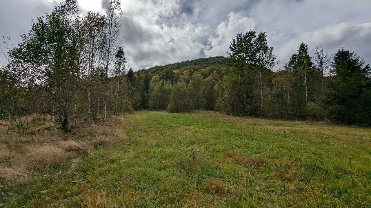 Земельна ділянка в Карпатах, Стара Гута, 27 сотих