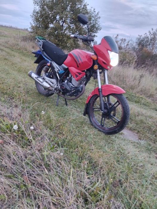 12345667900лпсиряс