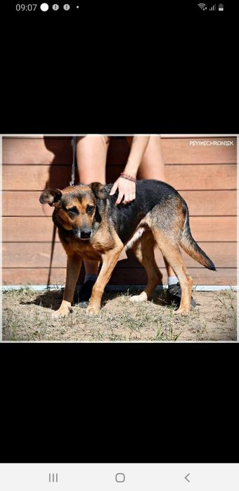 Sunia -  lek na całe zło