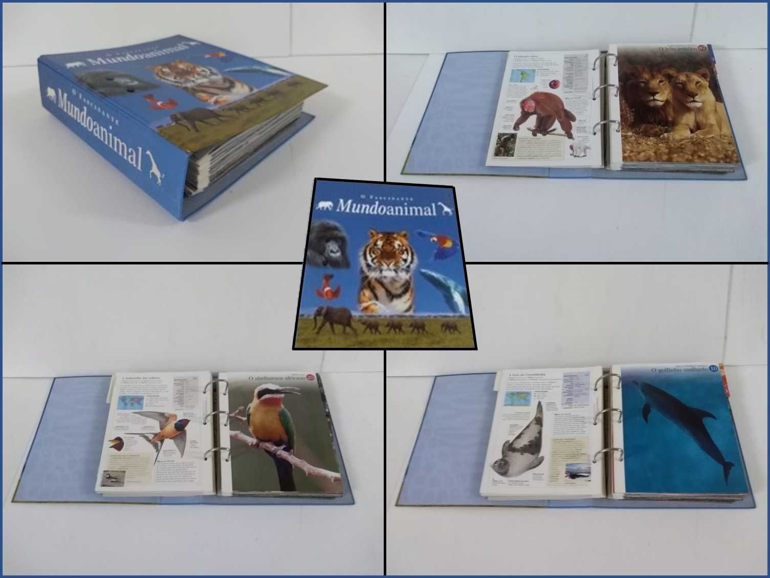 Diversos livros de ensino e cultura (ver imagens seguintes)