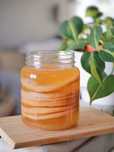 Scoby + sumo de kombucha