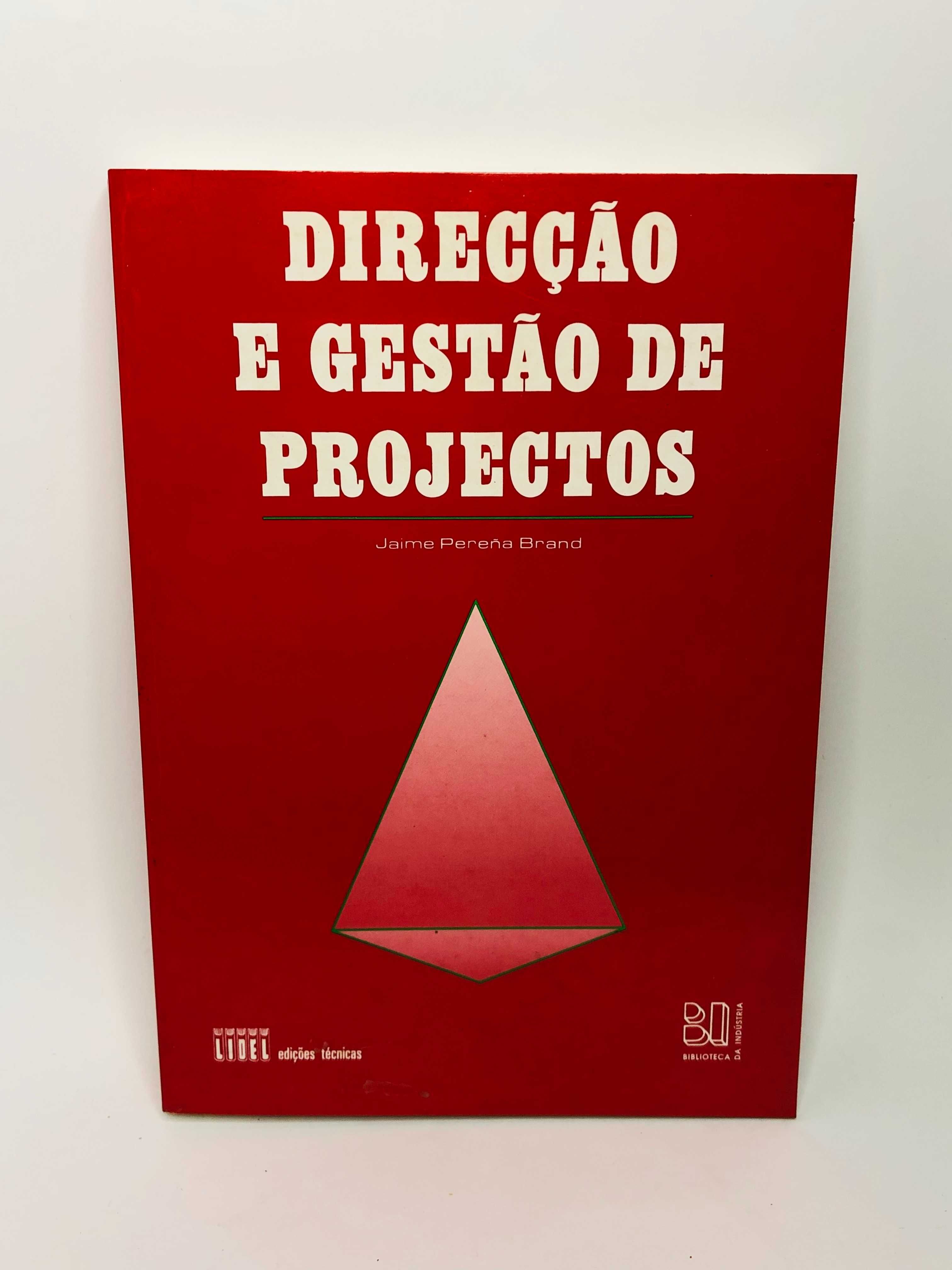 Direção e Gestão de Projectos - Jaime Pereña Brand
