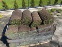 Trawa Z Rolki / PRODUCENT / Transport