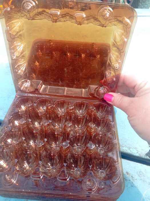 Лотки на 20 штук для перепелиных яиц