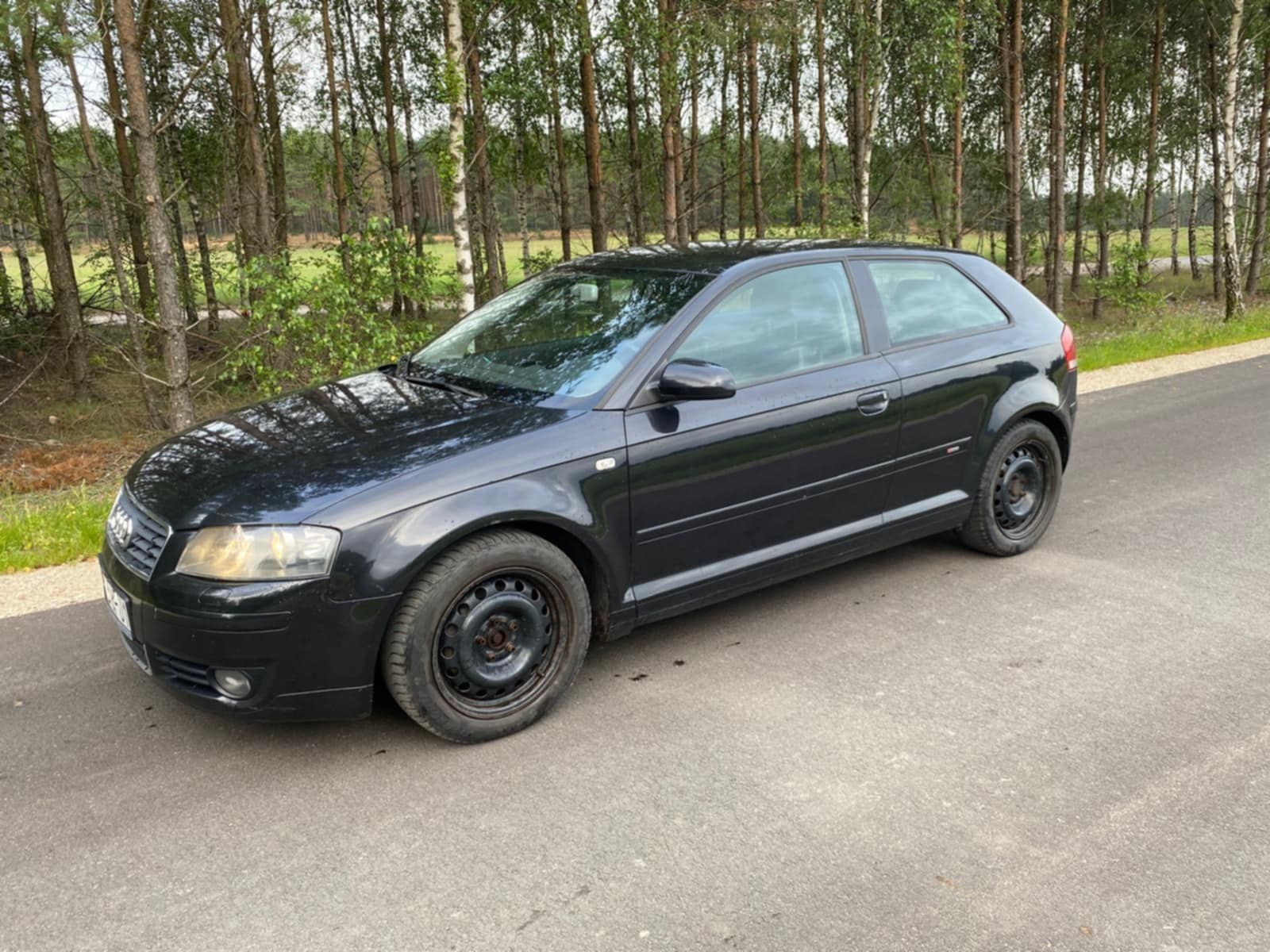 Audi a3 8P 1.9 Tdi