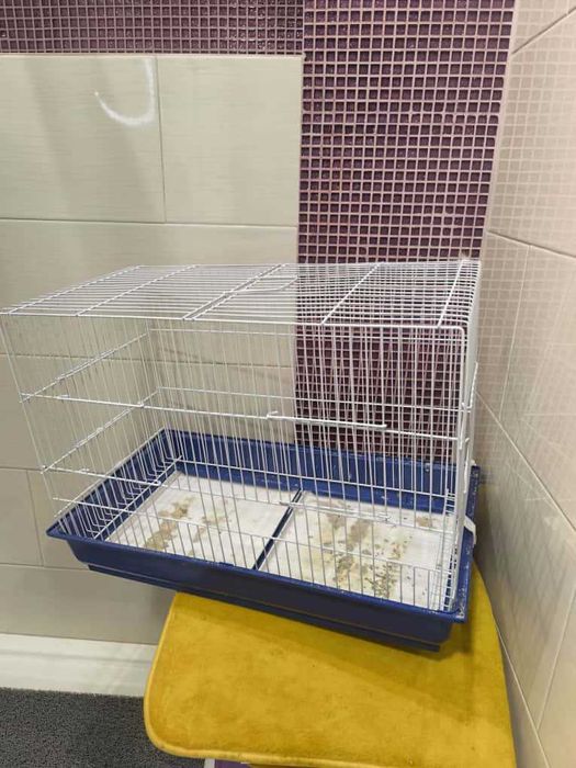 Gaiola de Pássaros Bom estado