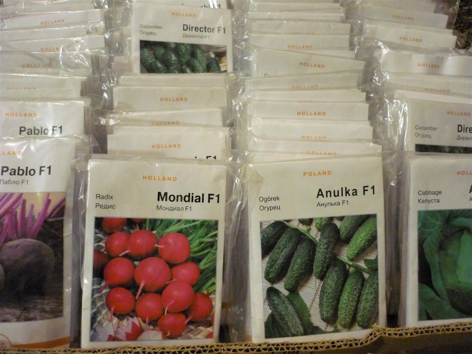 Семена Голландские яды насіння Фирменный белый пакет оптом качество це