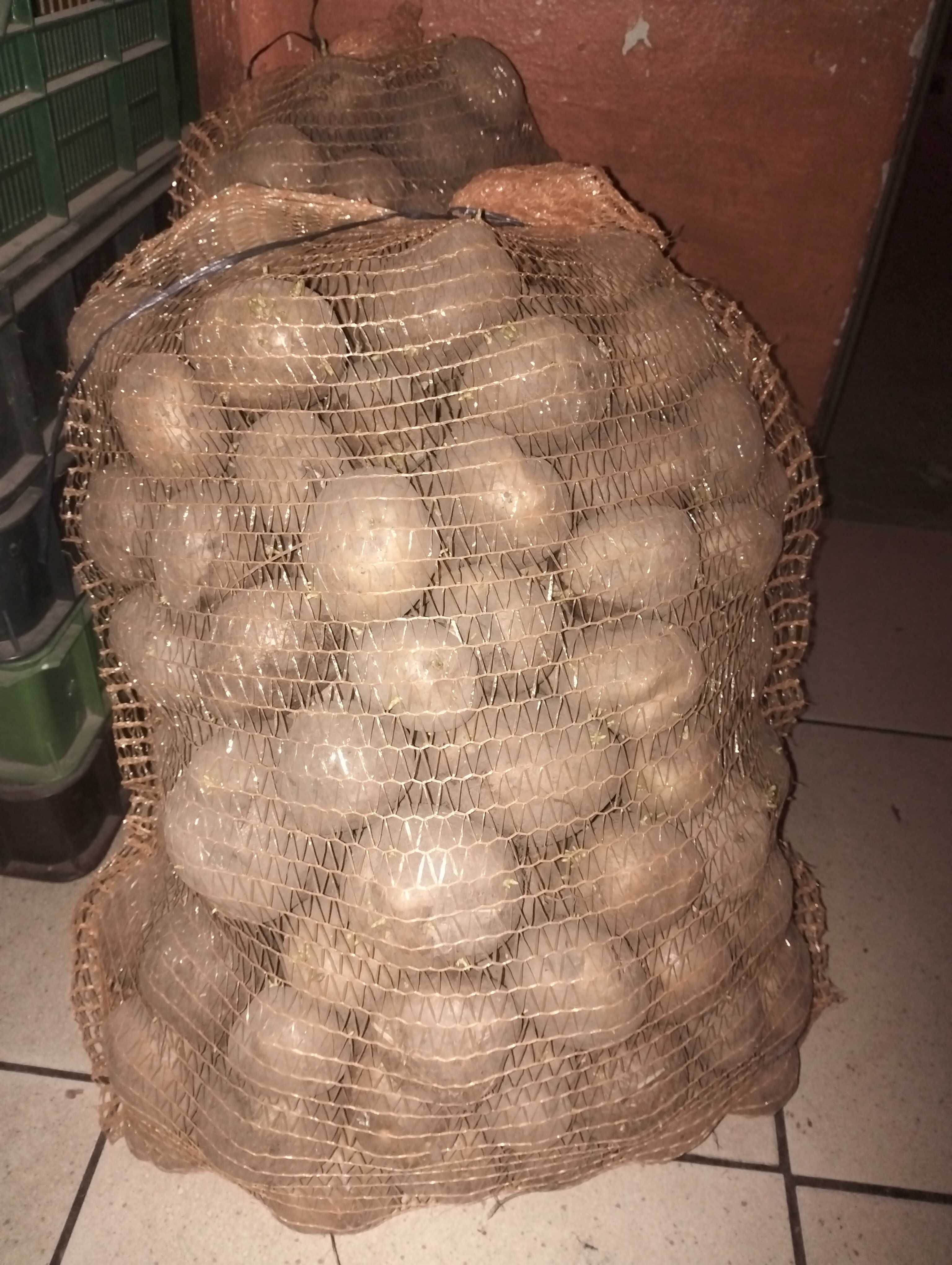 Sprzedam ziemniaki