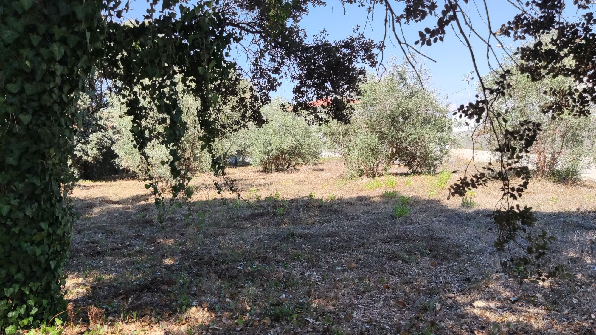 Terreno urbano para construção de moradia