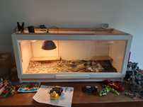 Terrarium dla żółwia lub innego gada