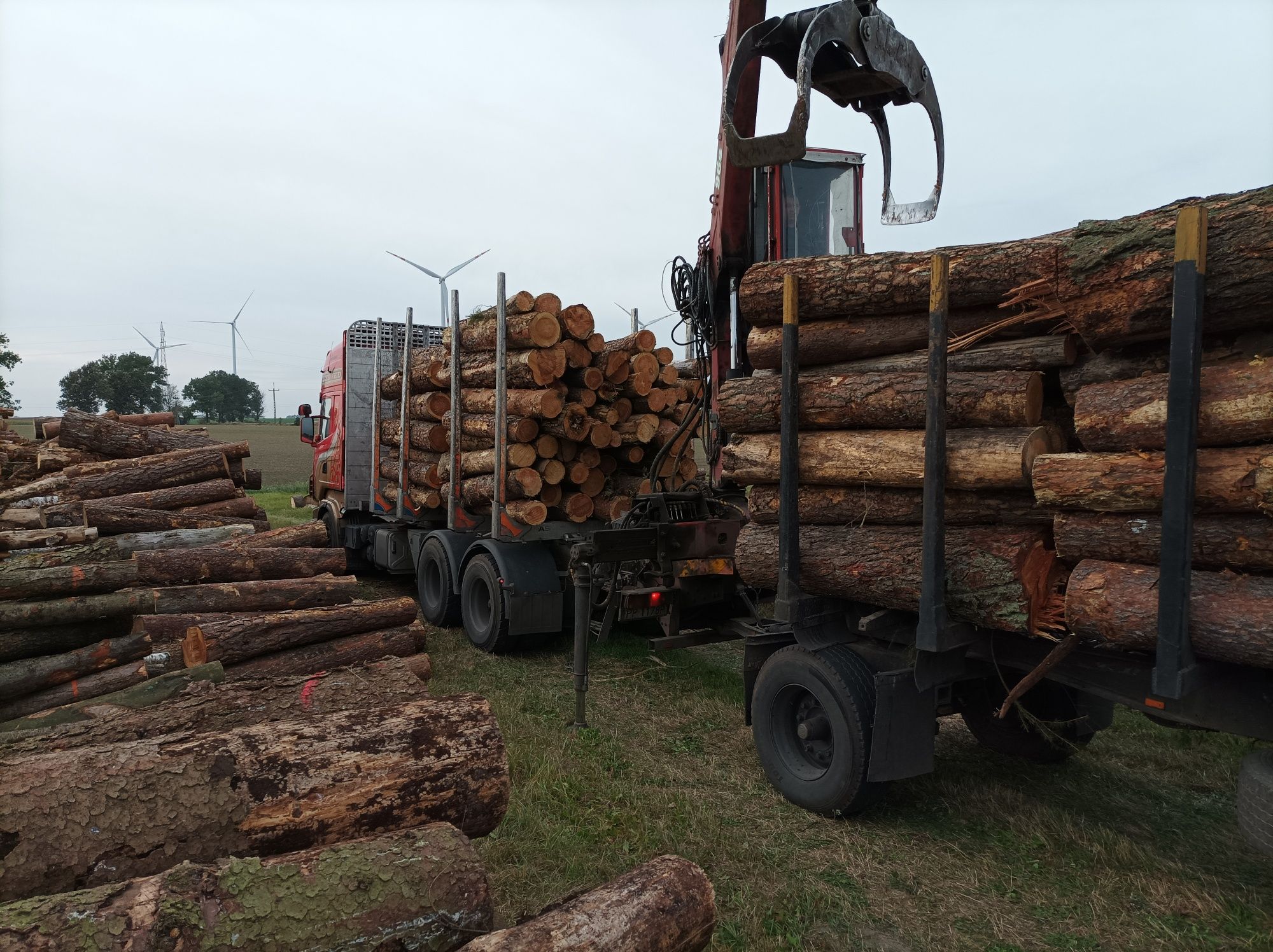 Wycinka zagrażających drzew, wywóz oraz transport,