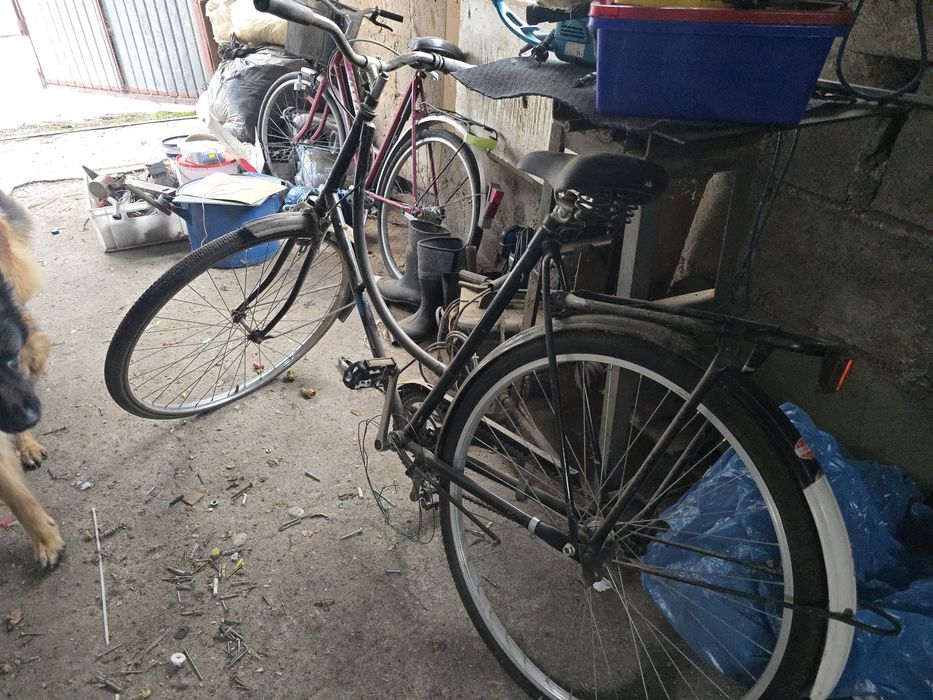 Rower holenderski aldo