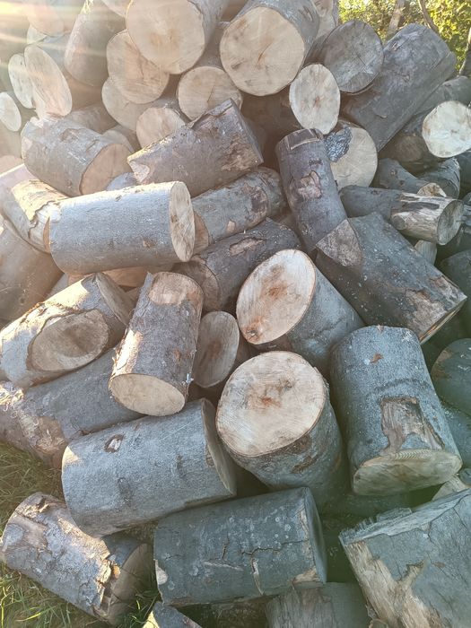 Drewno kominkowe opalowe