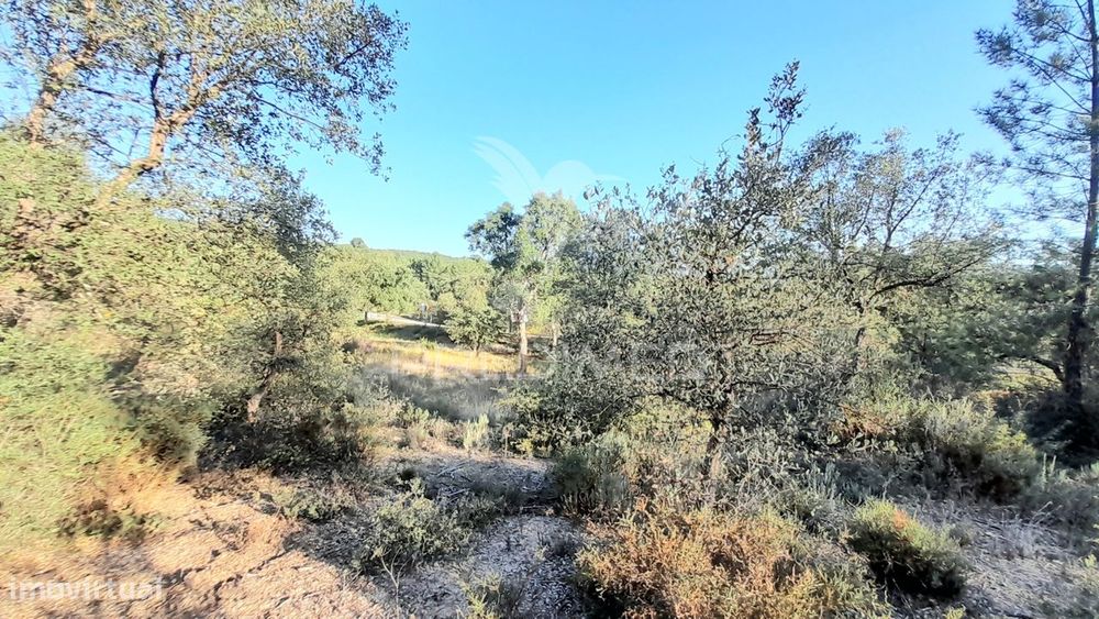 Terreno 3,92 ha Sarzedas