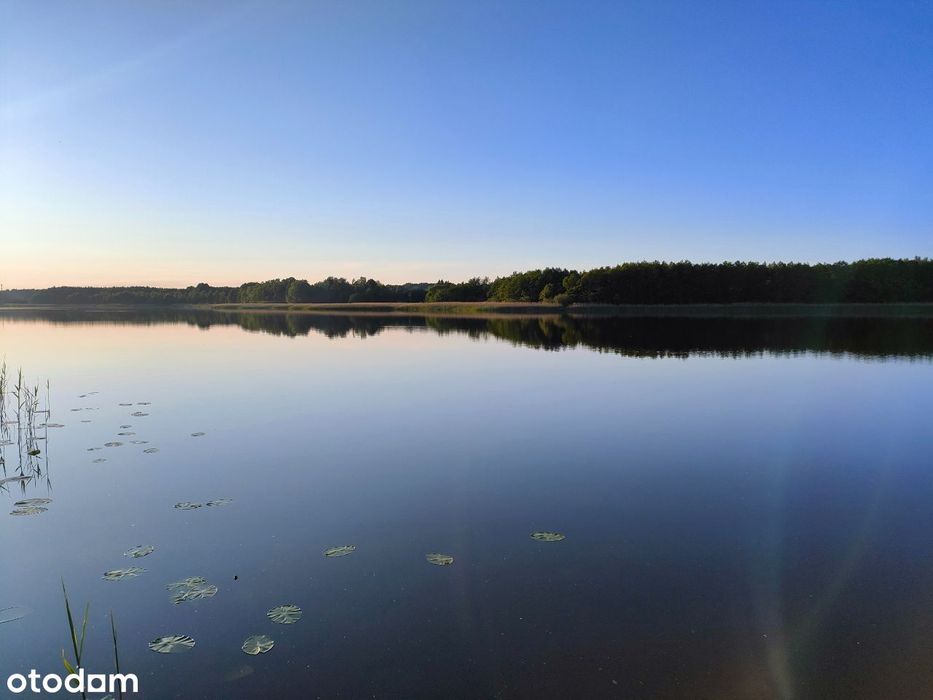 Działka rekreacyjna nad jeziorem w Wiechowie