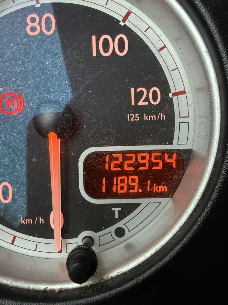 DAF CF360 do przewozu zwierząt