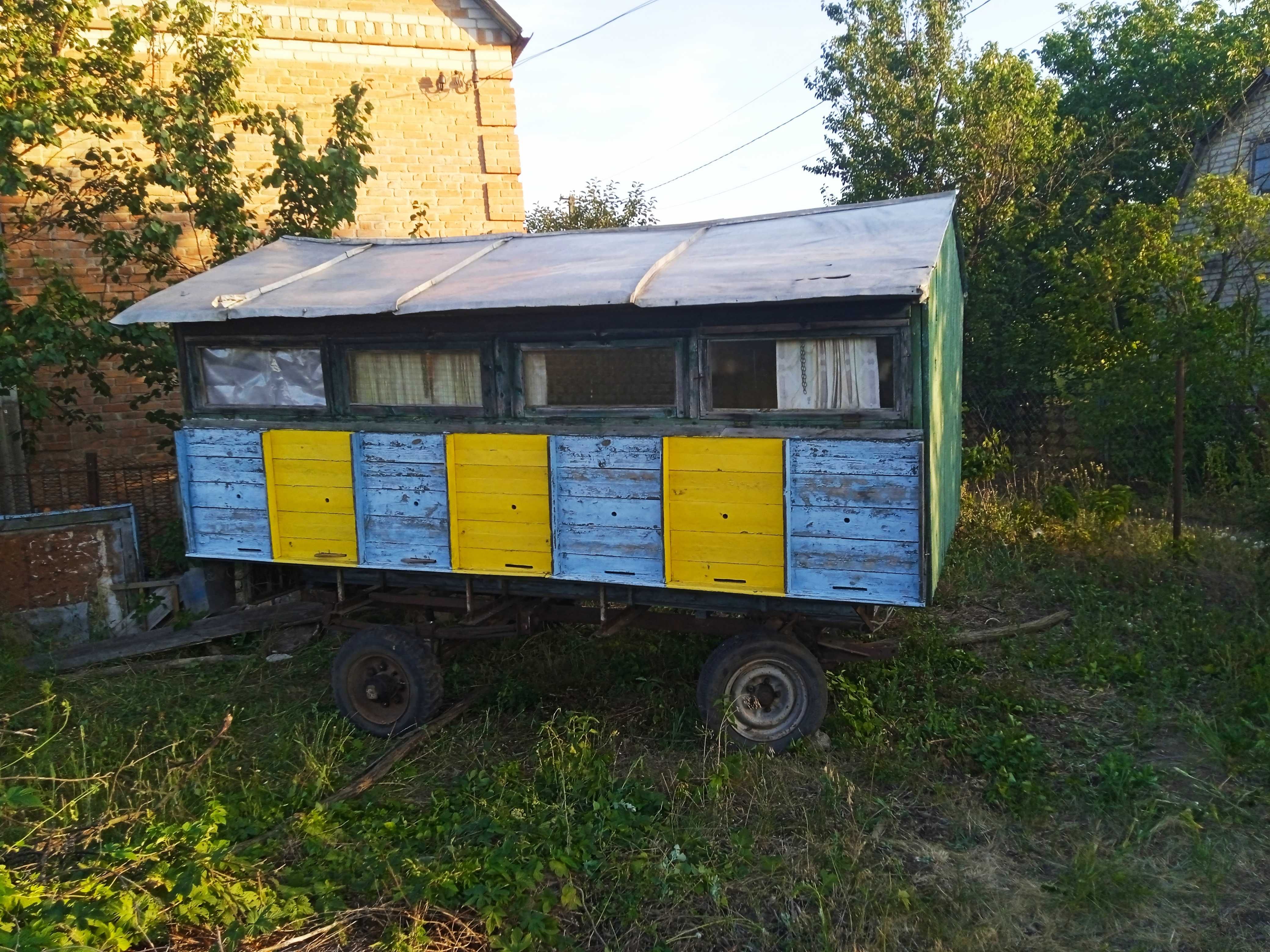 Прожам бджолопавільйон