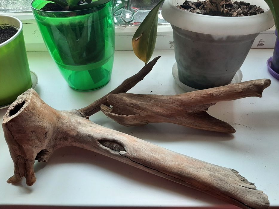 Продам коряги в аквариум.