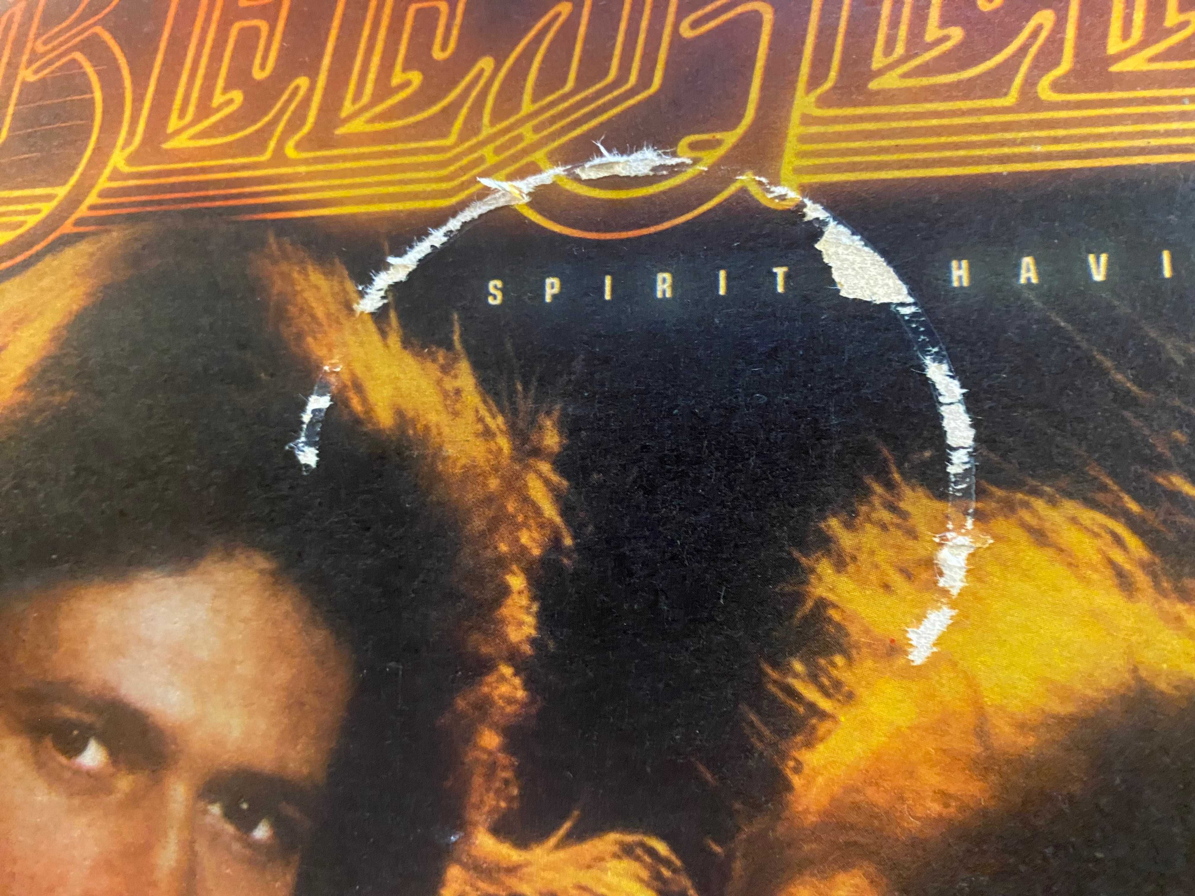 Disco de vinil: Bee Gees - Spirits having flown