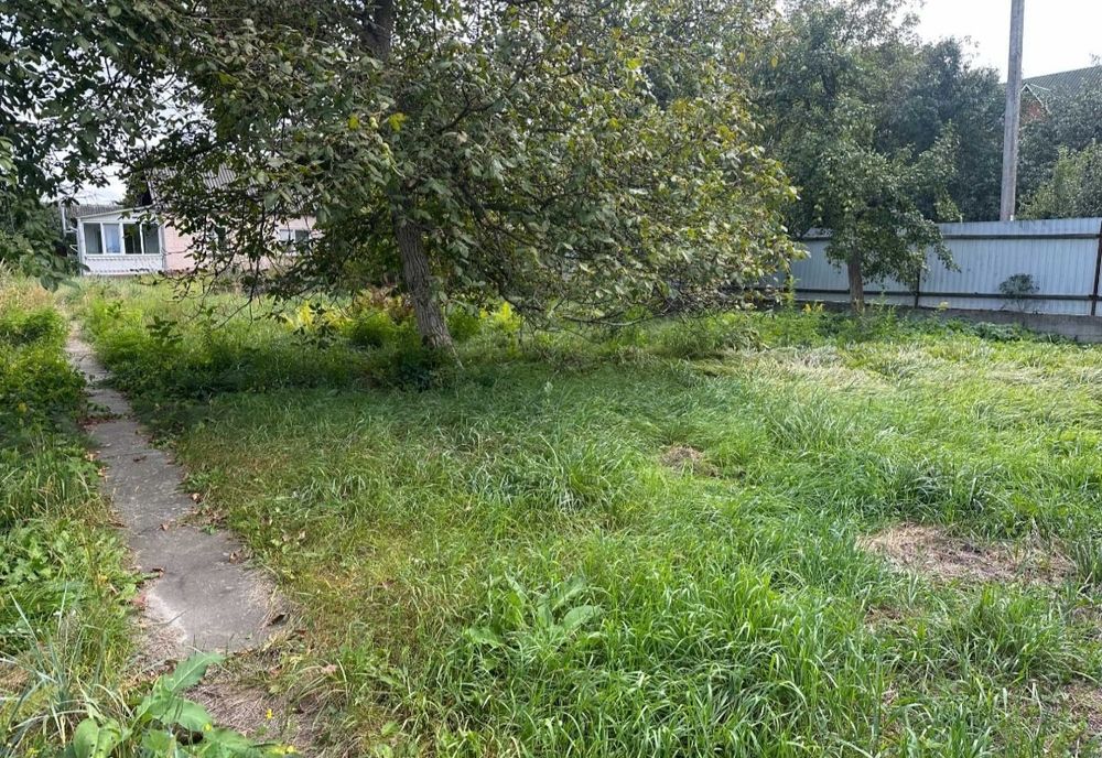 Будинок 10 соток в центрі 54м2 38000$