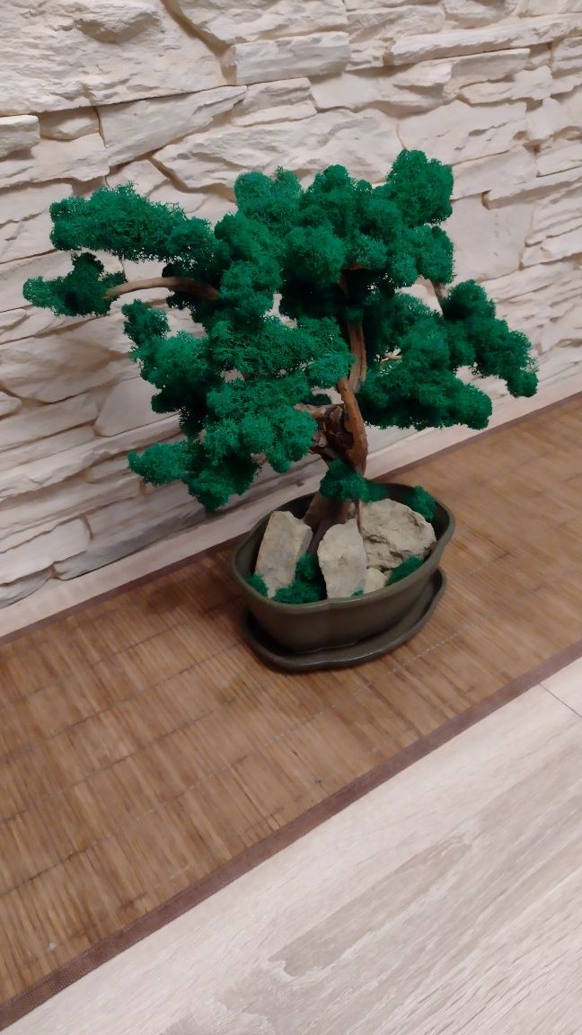 Tanio!BONSAI/DUŻE Drzewko z mchu chrobotka/35x37,hand made