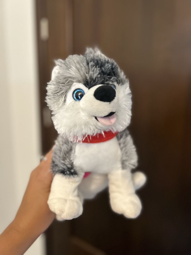Maskotka piesek husky