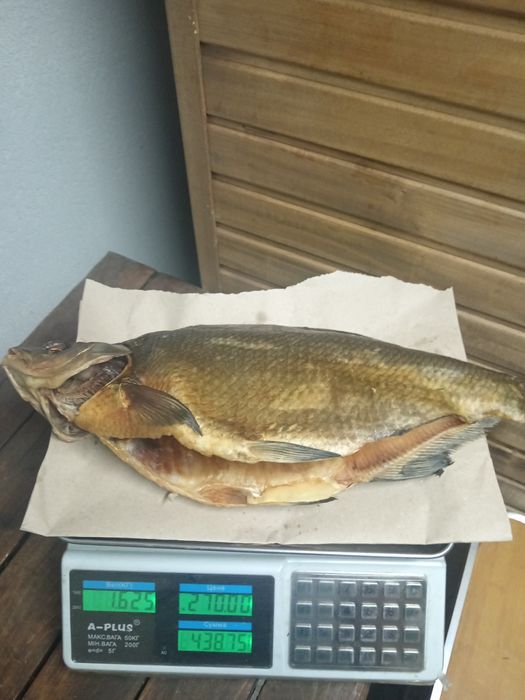 Риба Власного виробництва