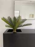 Planta palmeira artificial plástico