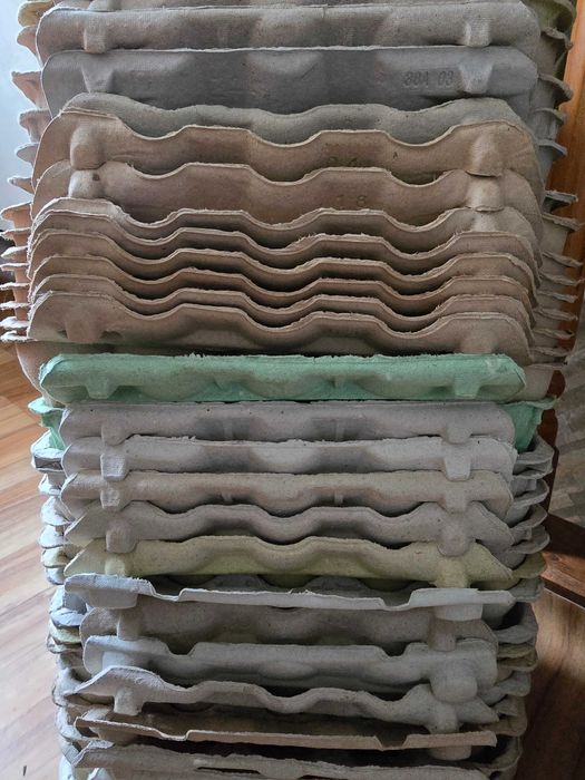 Wytłoczki na jajka 100 sztuk